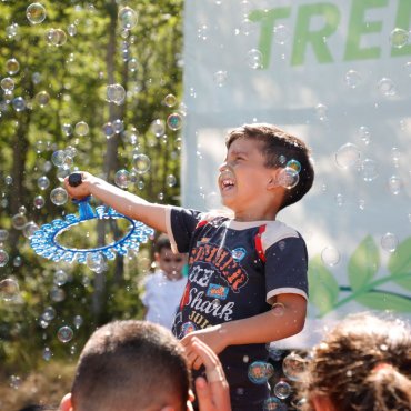 Animasyon Gösterileri